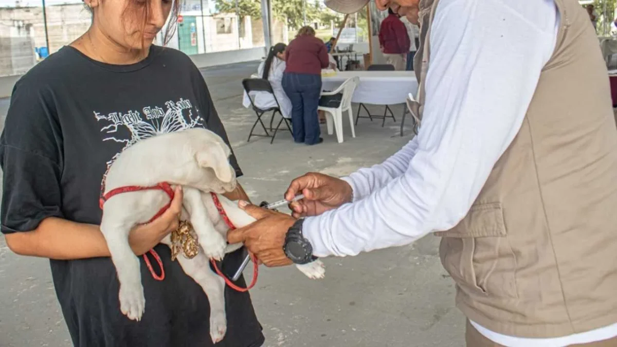 Aplican 110 mil 875 dosis de vacuna antirrábica en el estado de Campeche.
