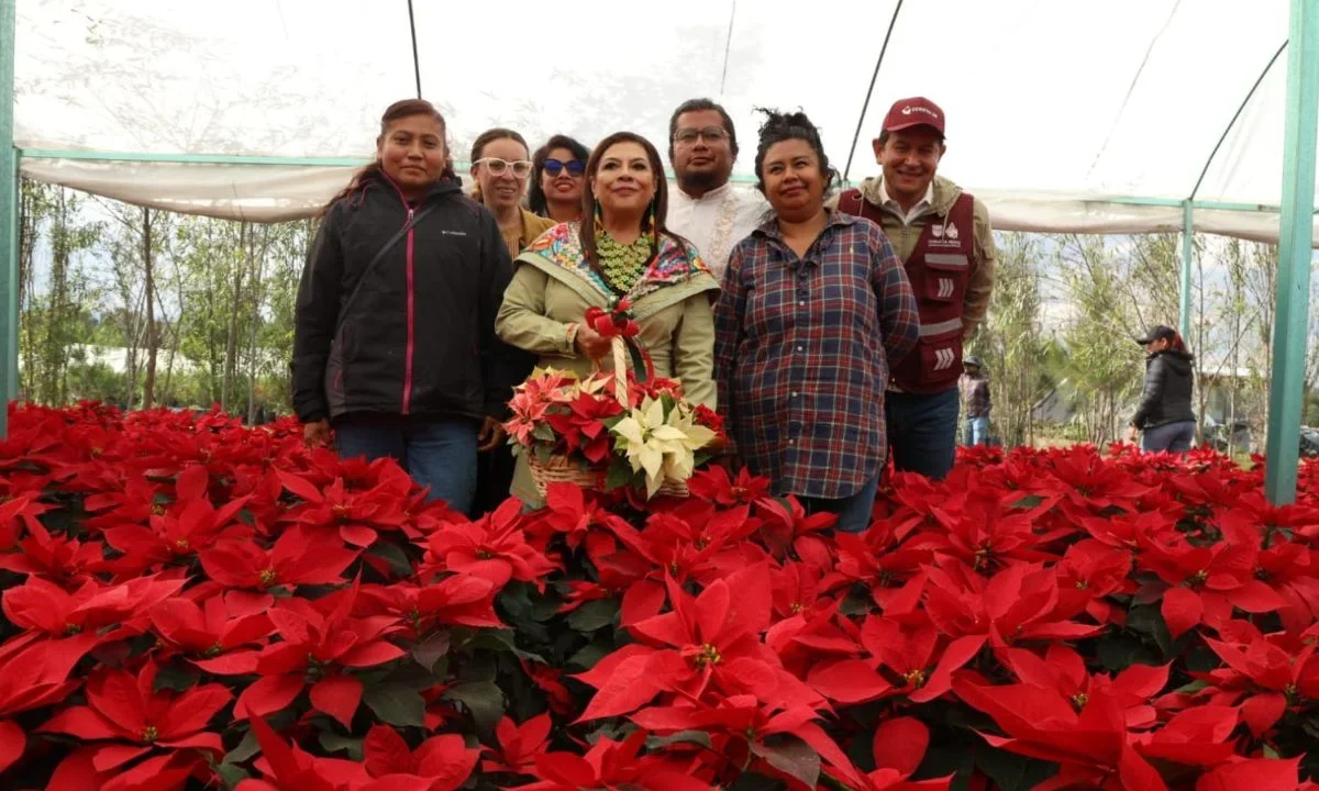 Clara Brugada encabezó el arranque de la venta de flor de Nochebuena 2025, en Xochimilco, ofertada por productores locales.