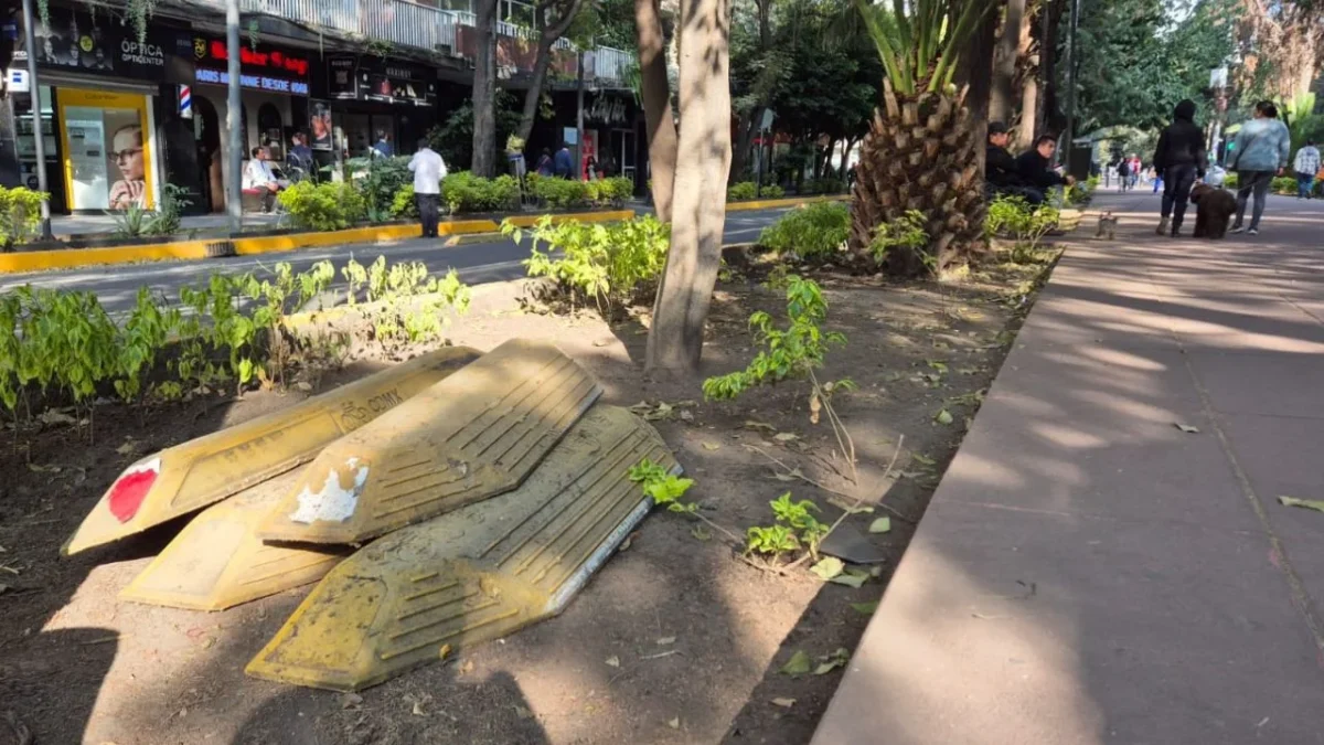 Los trabajos en Polanco arrancaron con poca información y desorden por parte de las autoridades de la alcaldía Miguel Hidalgo.