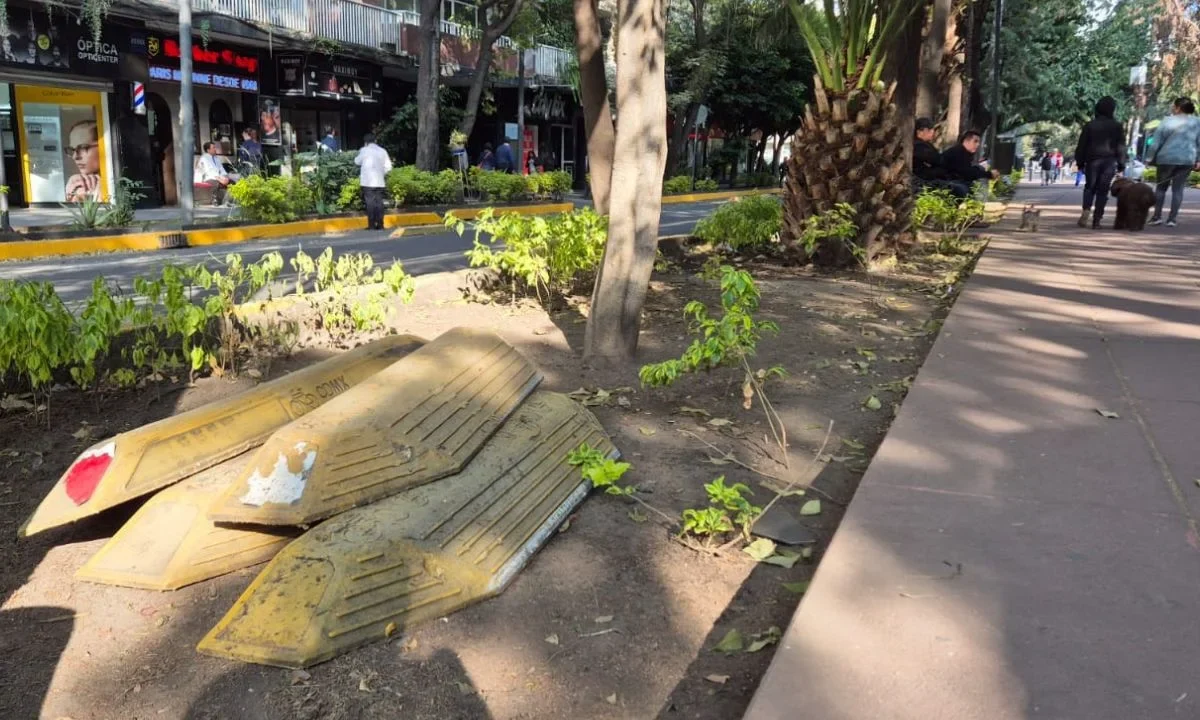 Los trabajos en Polanco arrancaron con poca información y desorden por parte de las autoridades de la alcaldía Miguel Hidalgo.