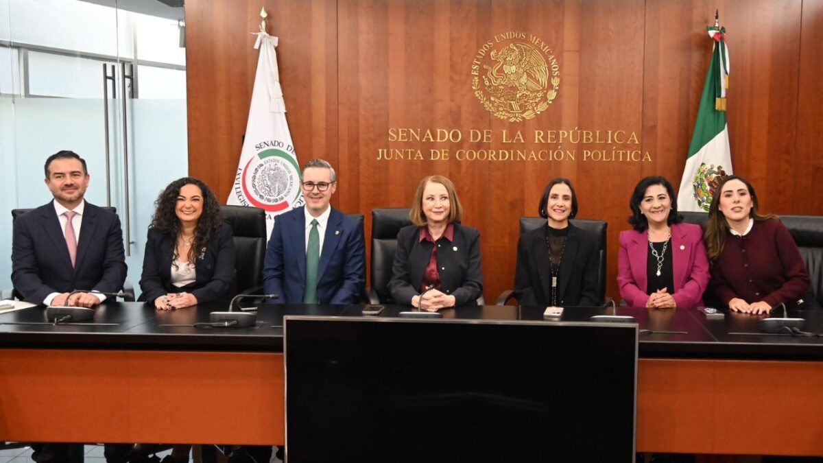 Titular de la Sener en el Senado de la República