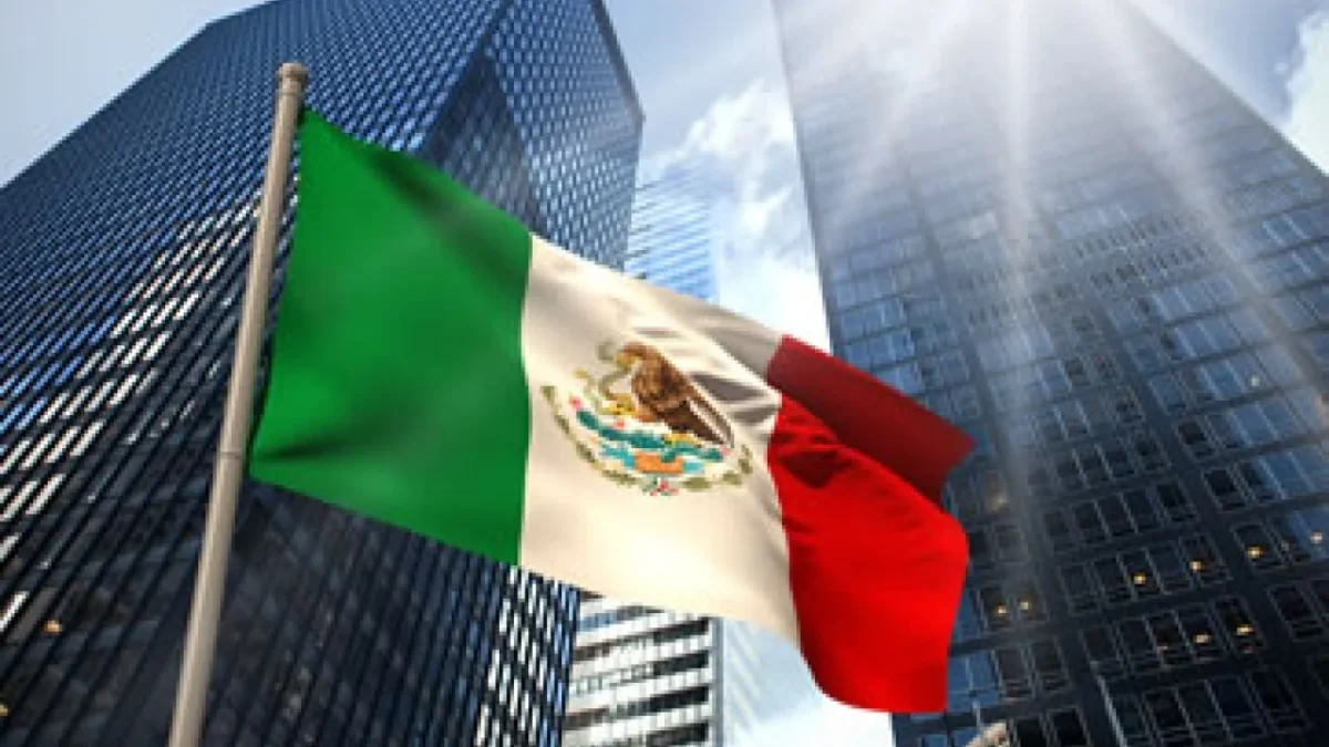En México, el sistema SAS retrasa la formalización de negocios y frustra a emprendedores que buscan iniciar sus empresas.