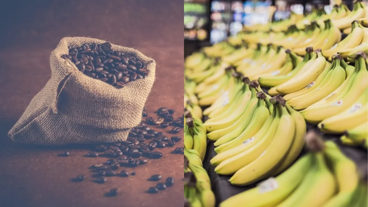El secretario del Tesoro de EU adelantó que en próximos días el gobierno anunciará una medida relacionada con aranceles al café y plátanos.