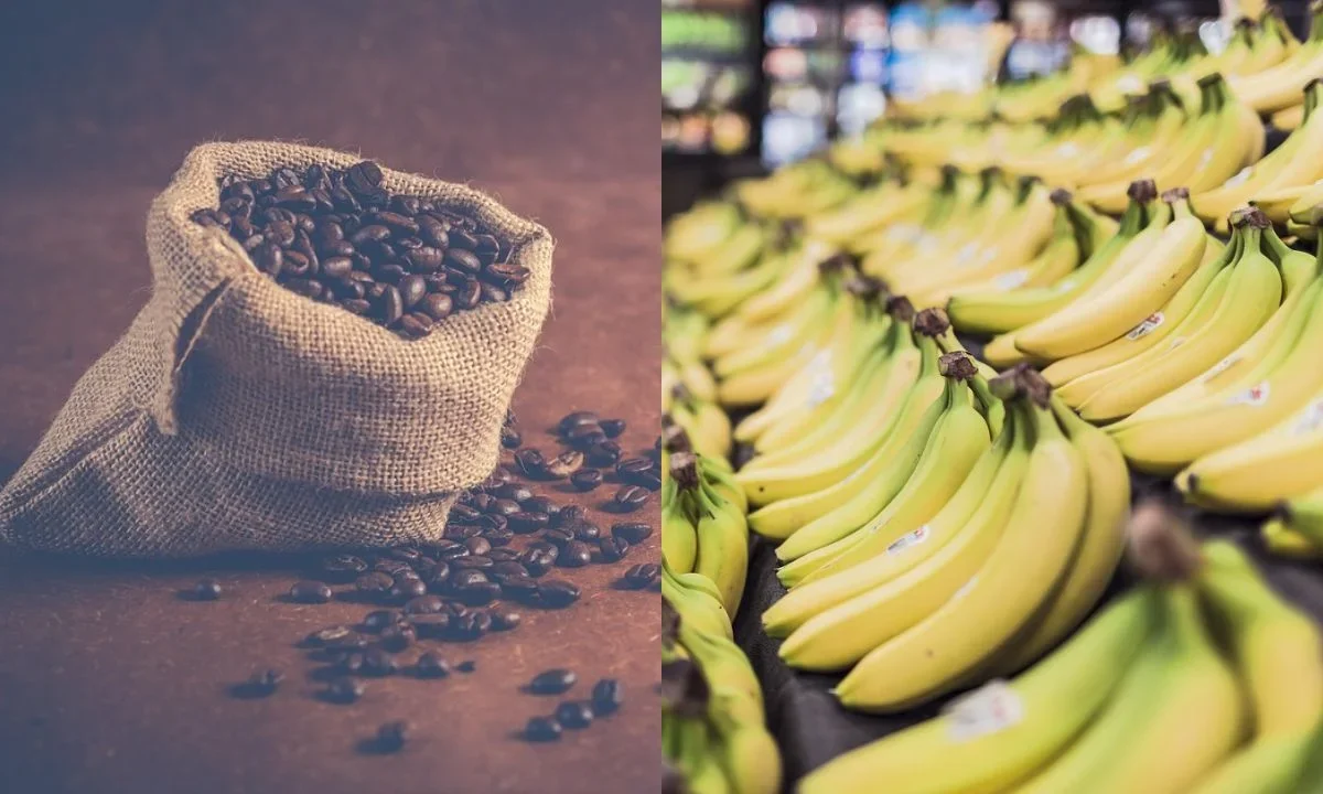 El secretario del Tesoro de EU adelantó que en próximos días el gobierno anunciará una medida relacionada con aranceles al café y plátanos.