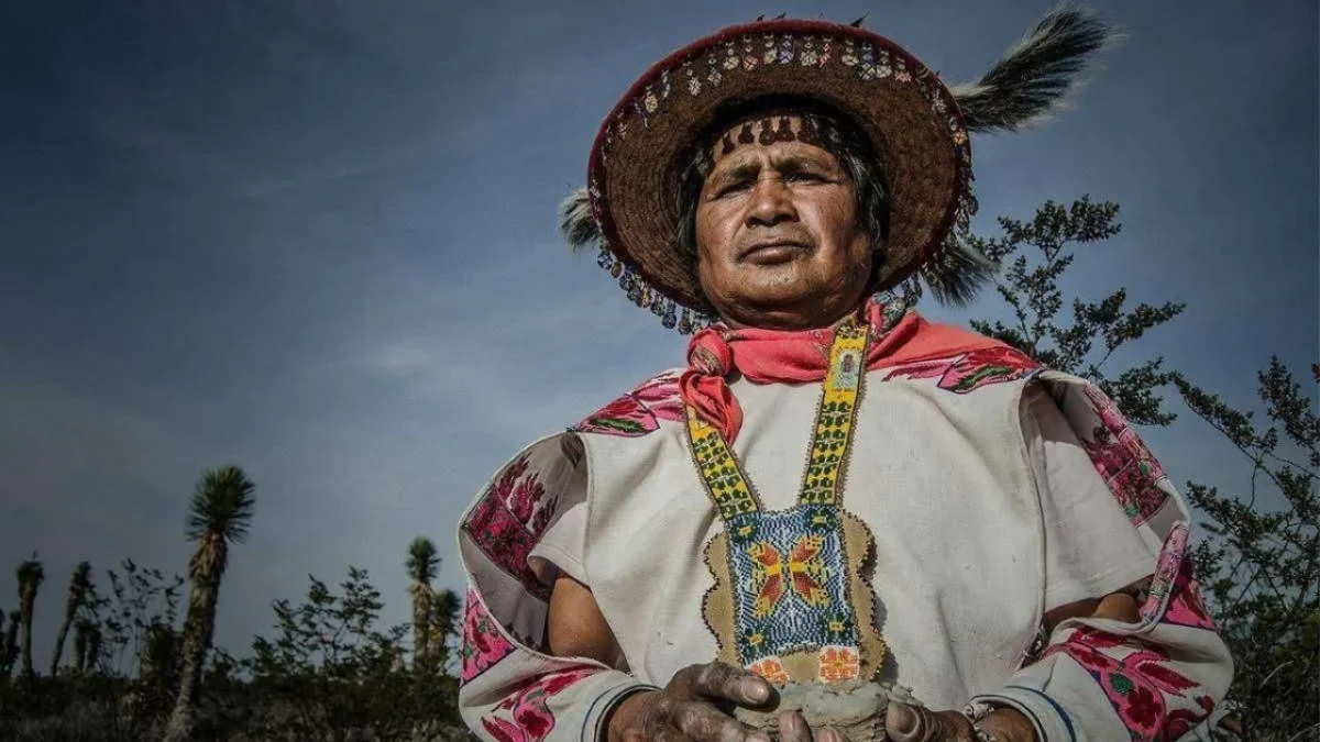 El Festival Mi Cine que presentará cortos en lenguas indígenas y películas filmadas en comunidades afrodescendientes ya está en CDMX.