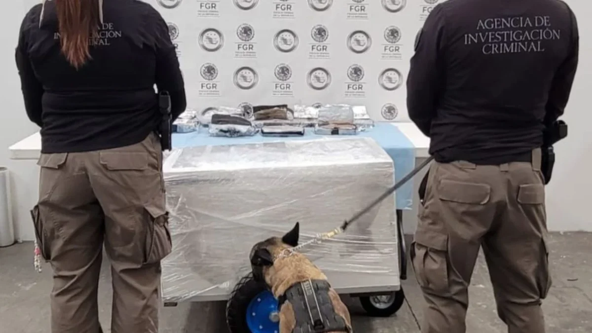 El hallazgo de la cocaína y fentanilo dentro del carrito de paletas forma parte de las acciones del Plan Michoacán por la Paz y la Justicia.