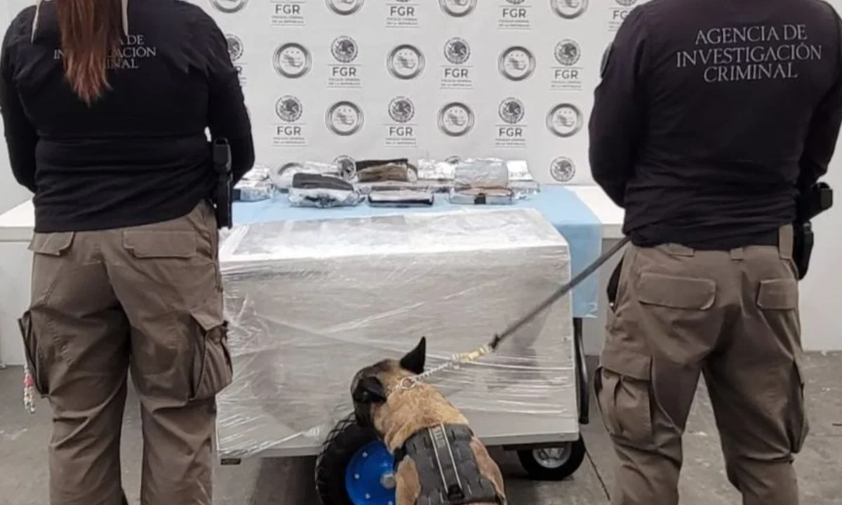 El hallazgo de la cocaína y fentanilo dentro del carrito de paletas forma parte de las acciones del Plan Michoacán por la Paz y la Justicia.