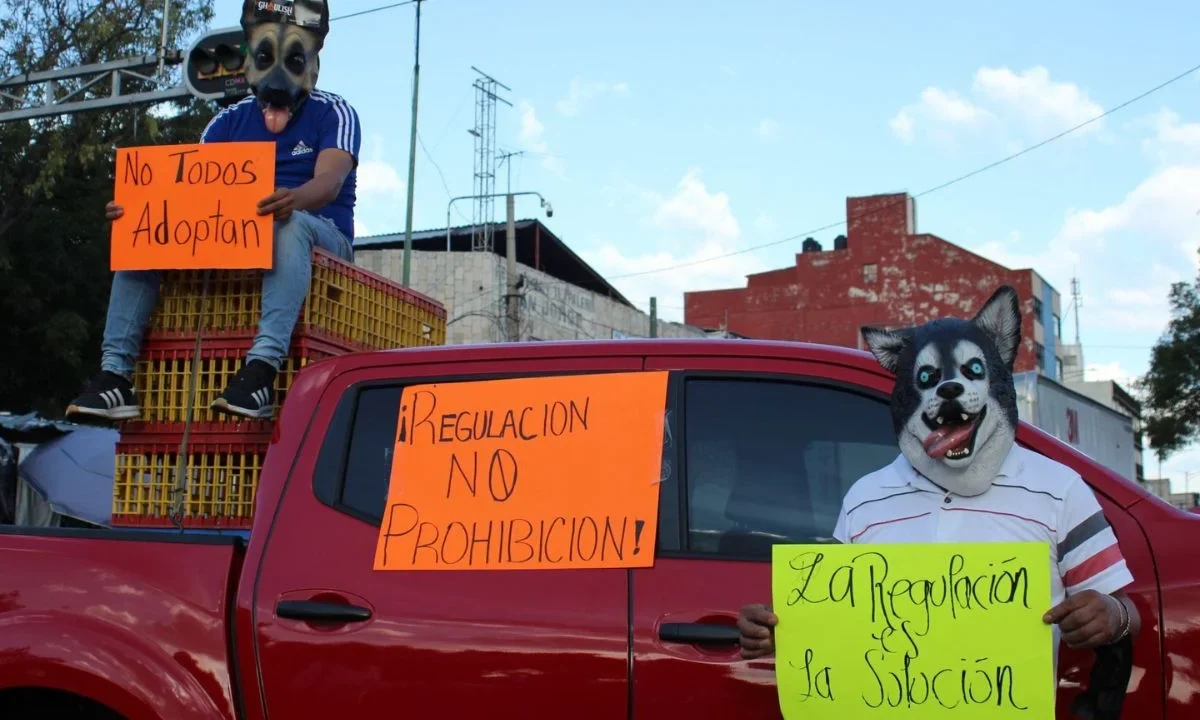 Ley Sema, Prohibición de exhibición de animales para su venta