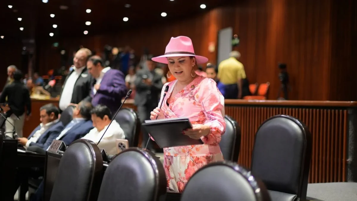 Movimiento del Sombrero va por constituirse como partido