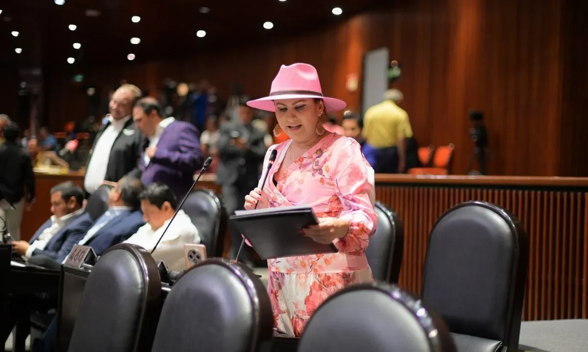 Movimiento del Sombrero va por constituirse como partido