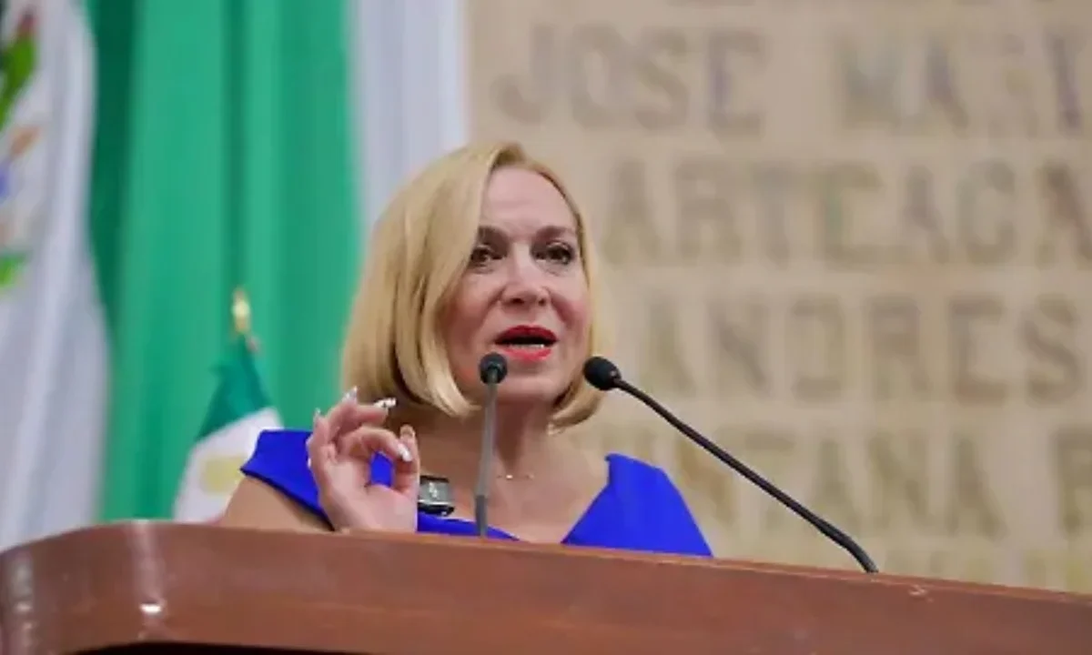 Olivia Garza, diputada del PAN, acusó al Instituto de Planeación de violar la ley al publicar el PGD sin aprobación formal.