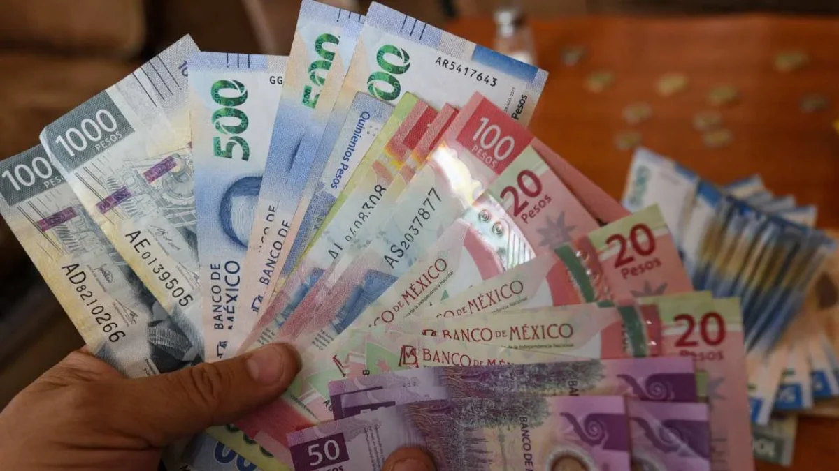 Confirman una contracción durante el tercer trimestre de 2025 de la actividad económica.