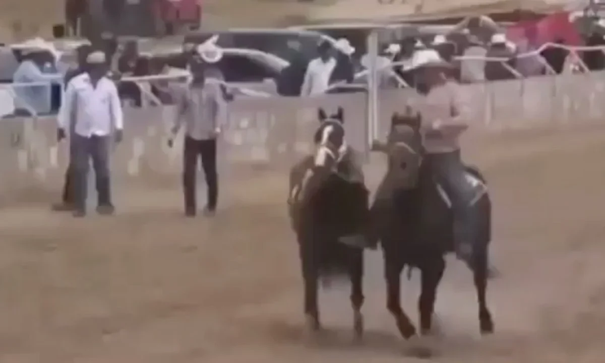 Entre las víctimas por el ataque armado en Parral, Chihuahua, habría civiles y presuntos integrantes de grupos delincuenciales.