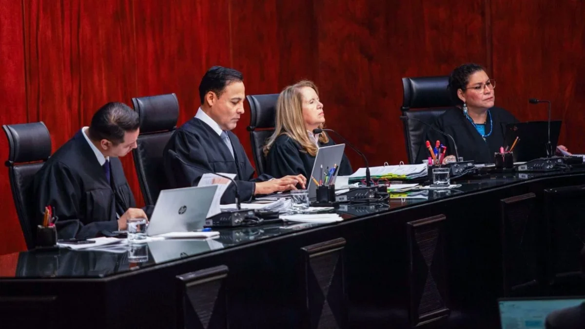 Senadores de Morena, PVEM y Partido del Trabajo celebraron el fallo de la SCJN en contra del Grupo Salinas, lo calificaron de 'histórico'.
