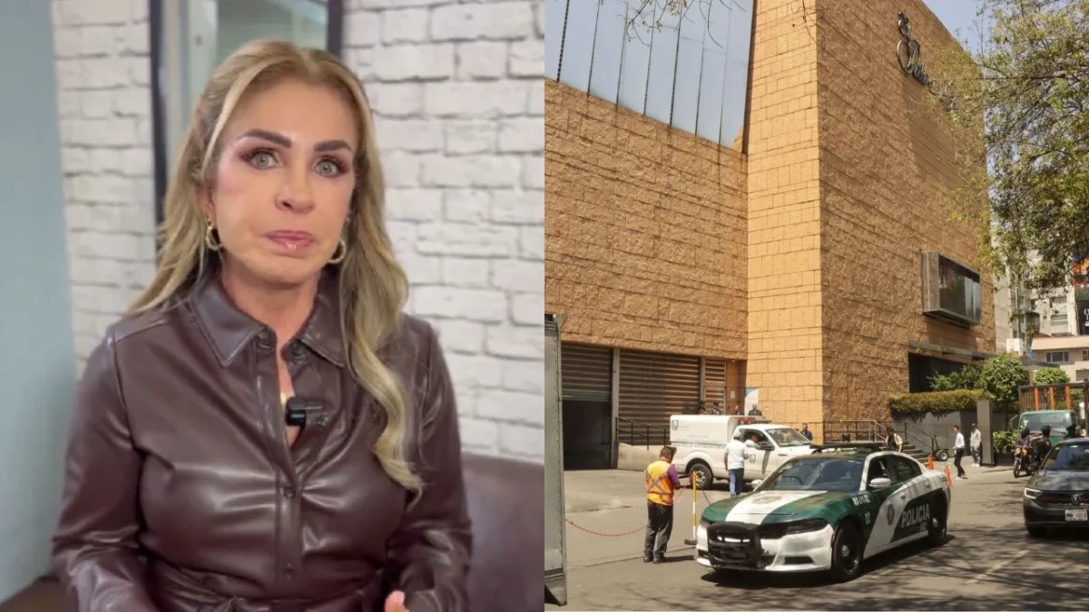 Rocío Sánchez Azuara confirmó que sufrió el robo de una bolsa al interior de la sucursal Palacio de Hierro en Polanco.