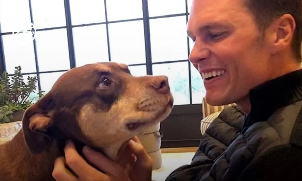 Tom Brady confesó que su perro Junie, actual mascota, es el clon de Lua, su perrita que falleció en 2023.