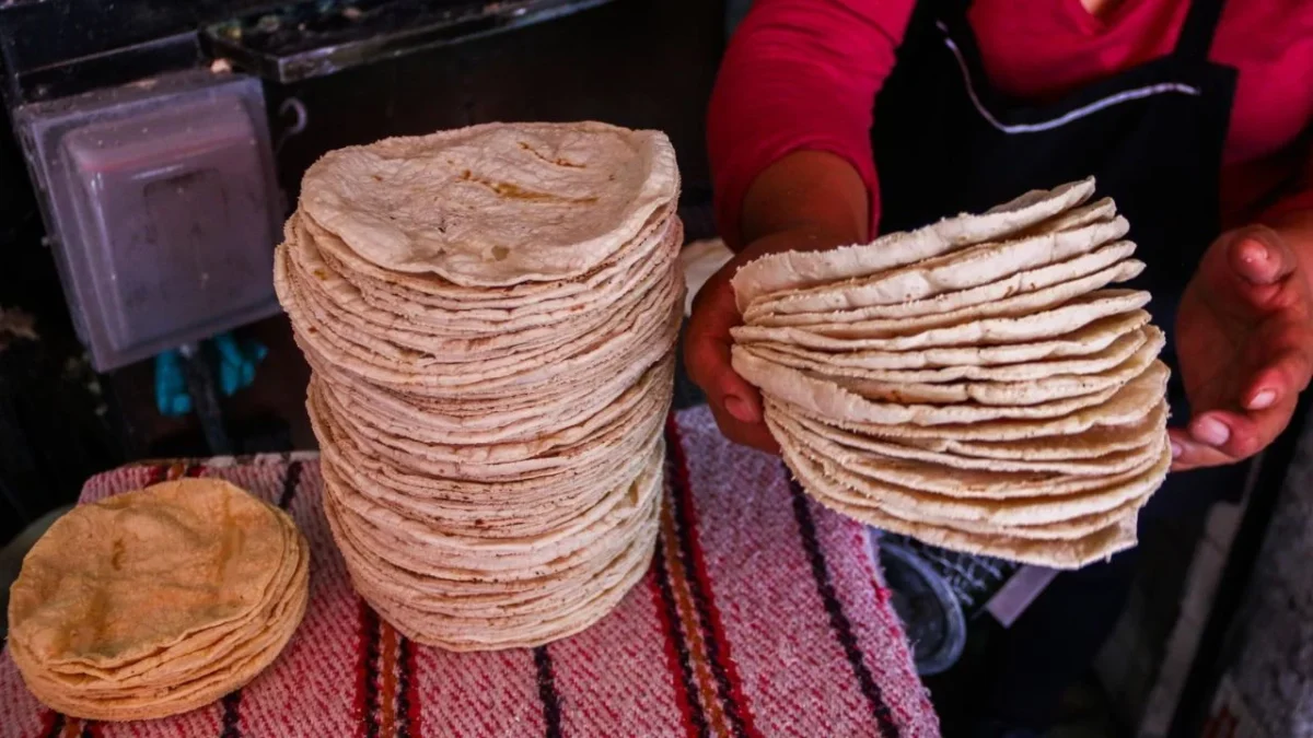 Conoce las principales diferencias entre las tortillas elaboradas en los supermercados y en las tortillerías tradicionales y elige mejor.