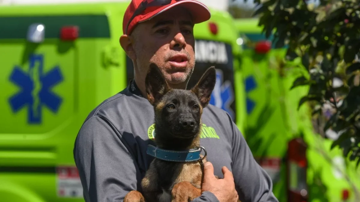 Brigada de Vigilancia Animal logra mil 600 rescates y adopción de 390 ejemplares