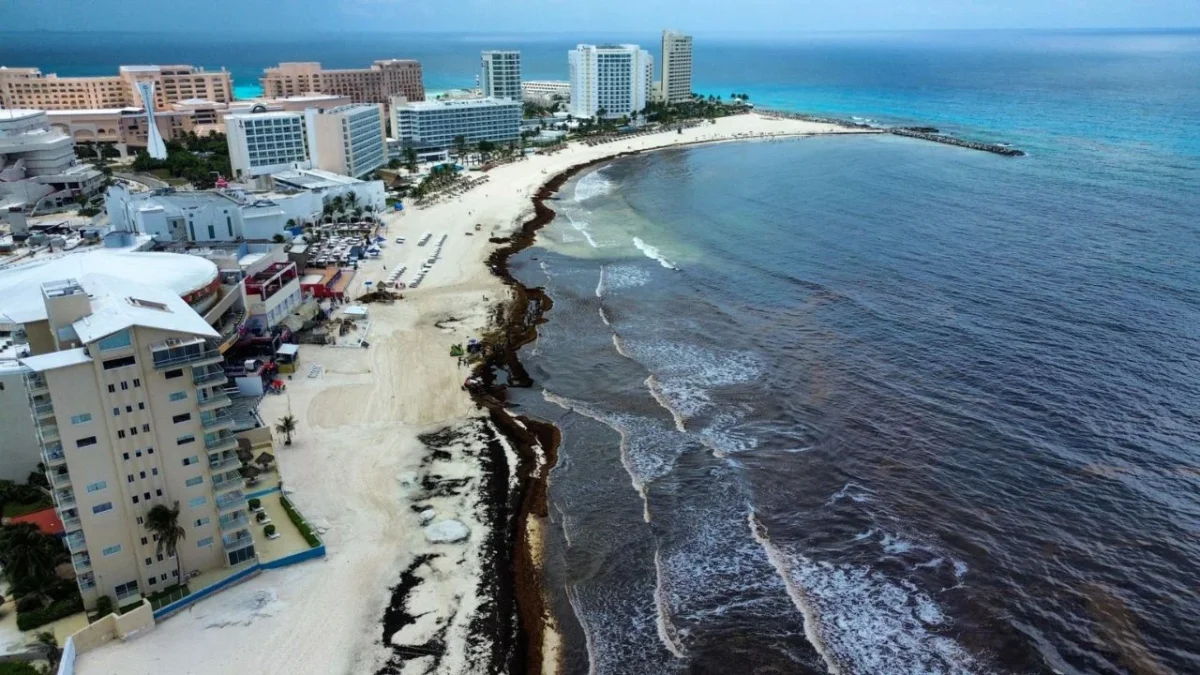Consejo Hotelero alerta los riesgos de VISITAX en sector turístico