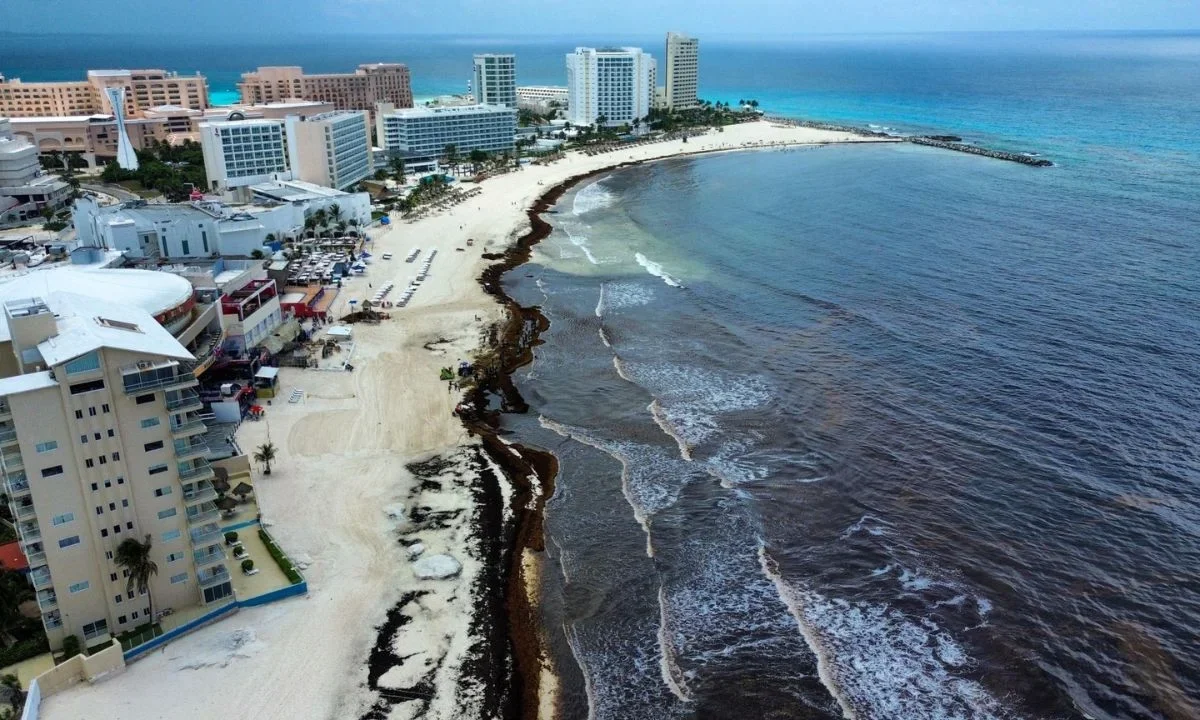 Consejo Hotelero alerta los riesgos de VISITAX en sector turístico