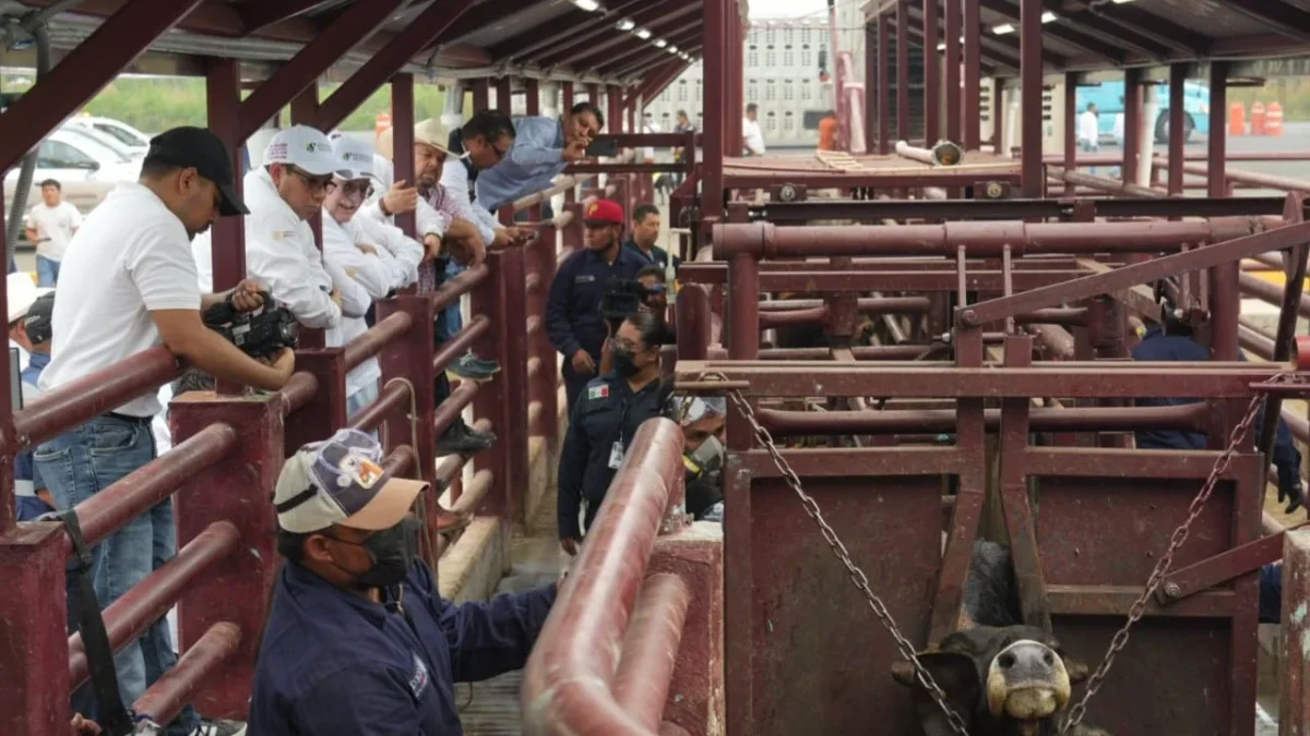 Modernizan punto de verificación del barrenador en Cosamaloapan