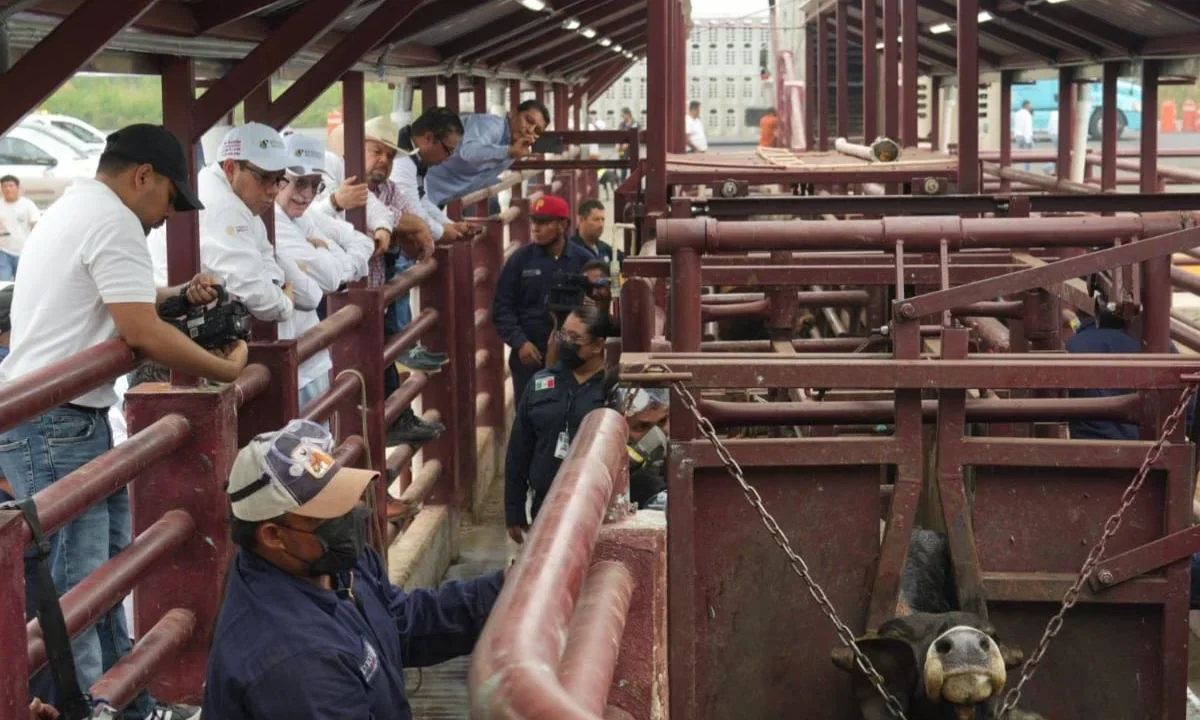 Modernizan punto de verificación del barrenador en Cosamaloapan
