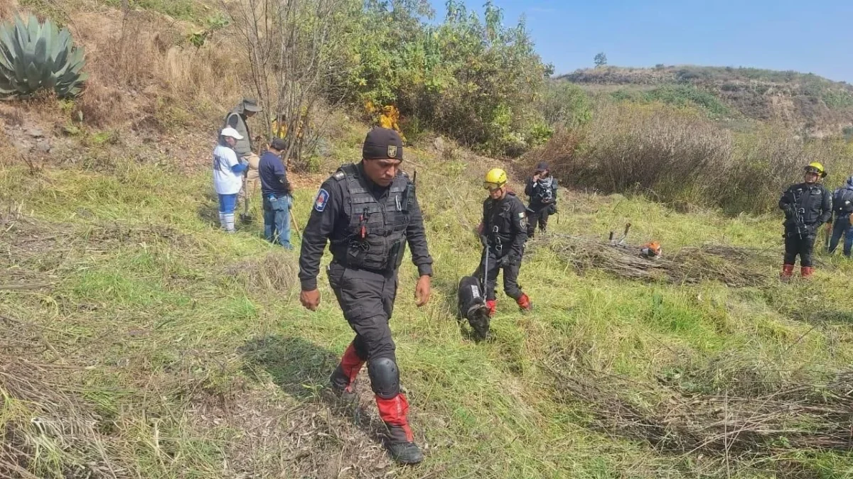 Realizan jornada de búsqueda de personas desaparecidas en barranca de Tarango, en Álvaro Obregón