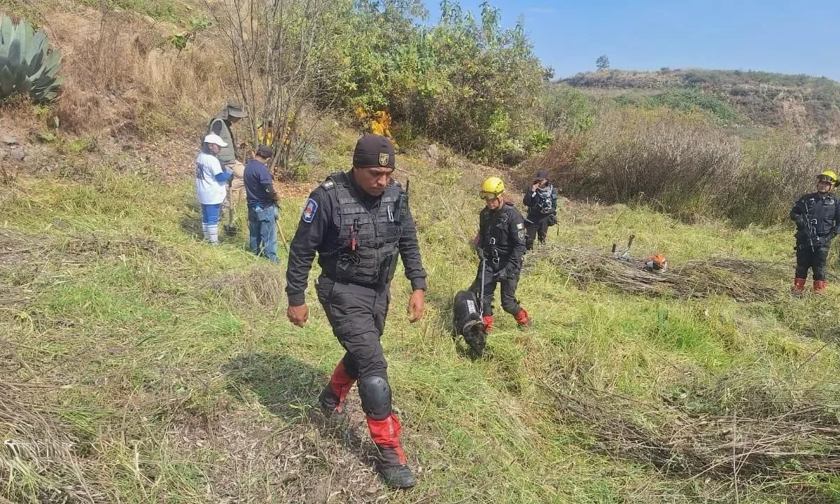 Realizan jornada de búsqueda de personas desaparecidas en barranca de Tarango, en Álvaro Obregón