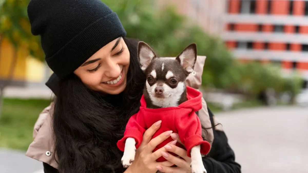 SSC brinda medidas para proteger a las mascotas del frío invernal