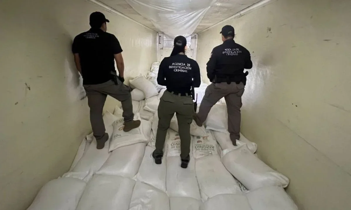 Elementos de la FGR y del Gabinete de Seguridad aseguraron 320 kilogramos de mentanfetamina escondidos en un tractocamión en Los Mochis.