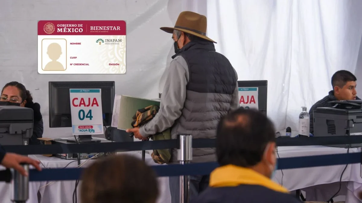 Si cuentas con la tarjeta del Inapam, te decimos cómo puedes obtener descuentos en el pago del predial: entérate aquí de los detalles.