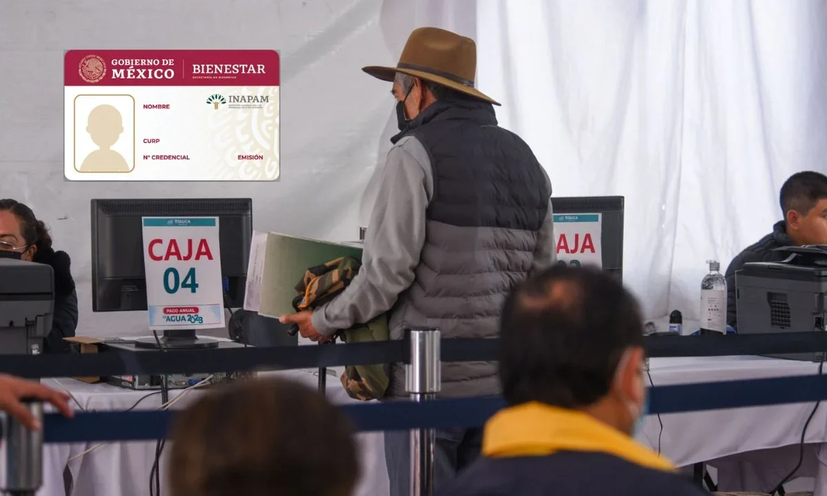 Si cuentas con la tarjeta del Inapam, te decimos cómo puedes obtener descuentos en el pago del predial: entérate aquí de los detalles.