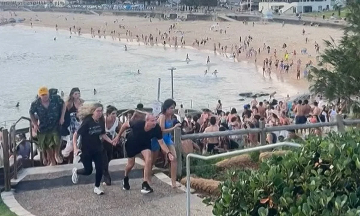 Ahmed al Ahmed, comerciante de 43 años, desarmó a uno de los atacantes en Bondi Beach, Australia, pese a recibir dos disparos.