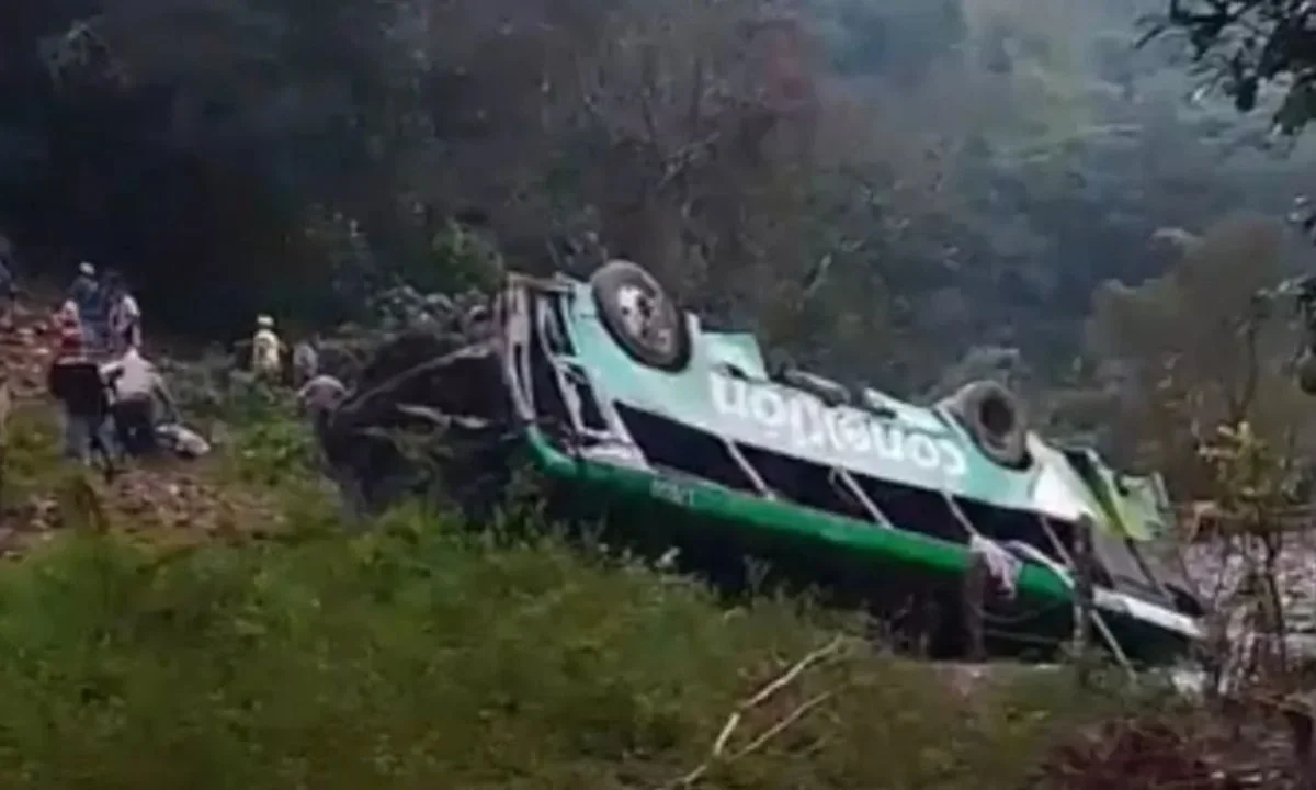Un autobús de pasajeros cayó a un barranco en Zontecomatlán, Veracruz, autoridades reportan 8 muertos y 19 heridos.