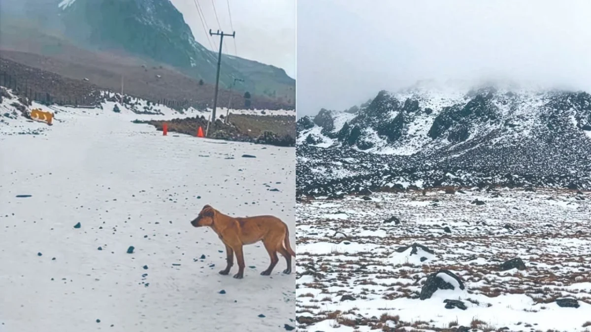 Autoridades cierran acceso al Nevado de Toluca hasta nuevo aviso, por mal clima lo que representa un riesgo alto para turistas y visitantes.