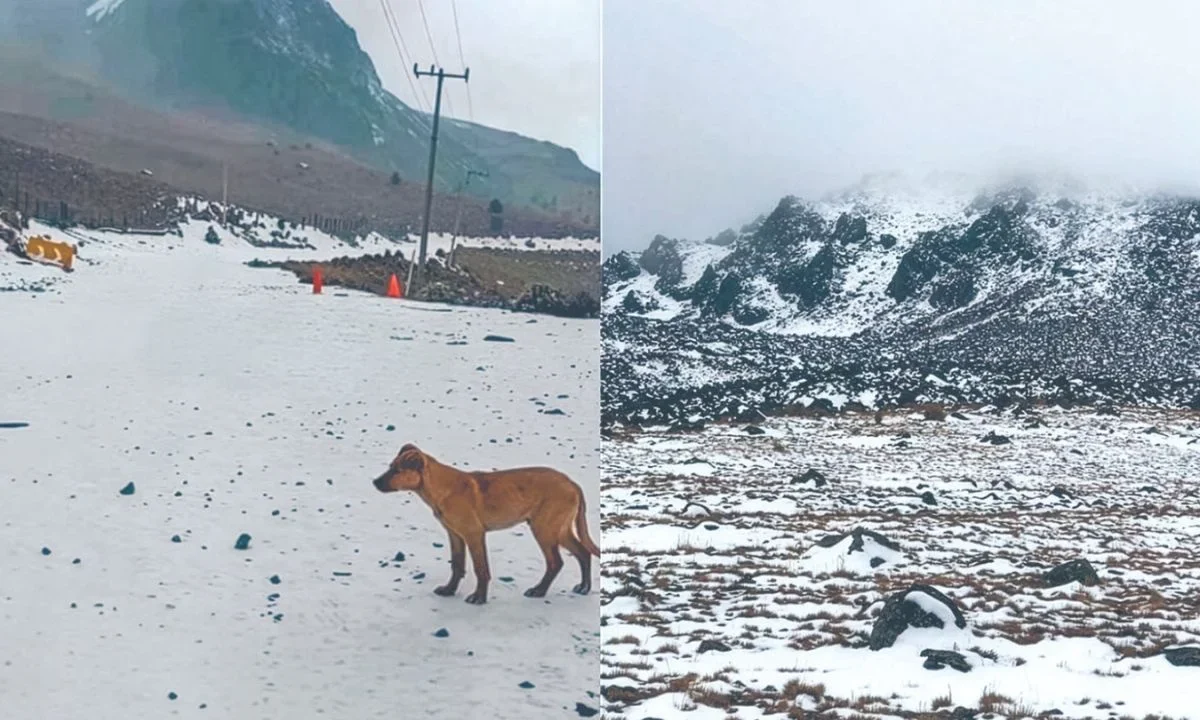 Autoridades cierran acceso al Nevado de Toluca hasta nuevo aviso, por mal clima lo que representa un riesgo alto para turistas y visitantes.