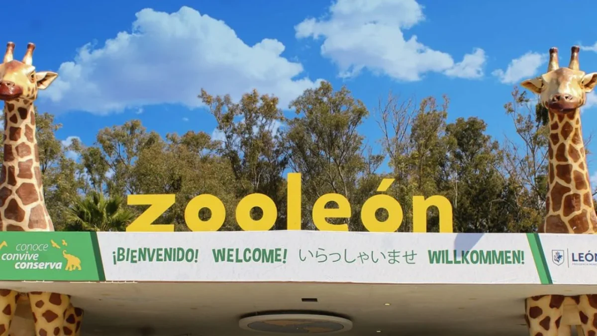 Entre la crisis, el pasado 10 de diciembre, el director del Zoológico de León, Rigoberto Montes Palomares presentó su renuncia.