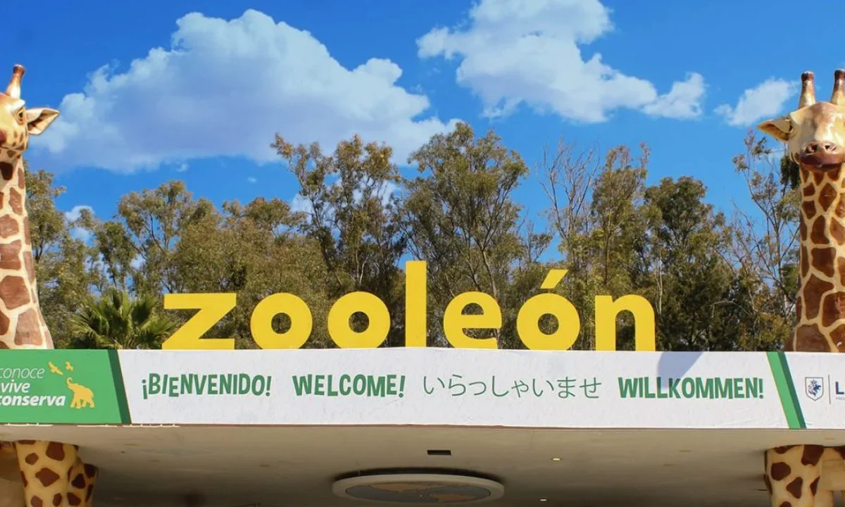 Entre la crisis, el pasado 10 de diciembre, el director del Zoológico de León, Rigoberto Montes Palomares presentó su renuncia.