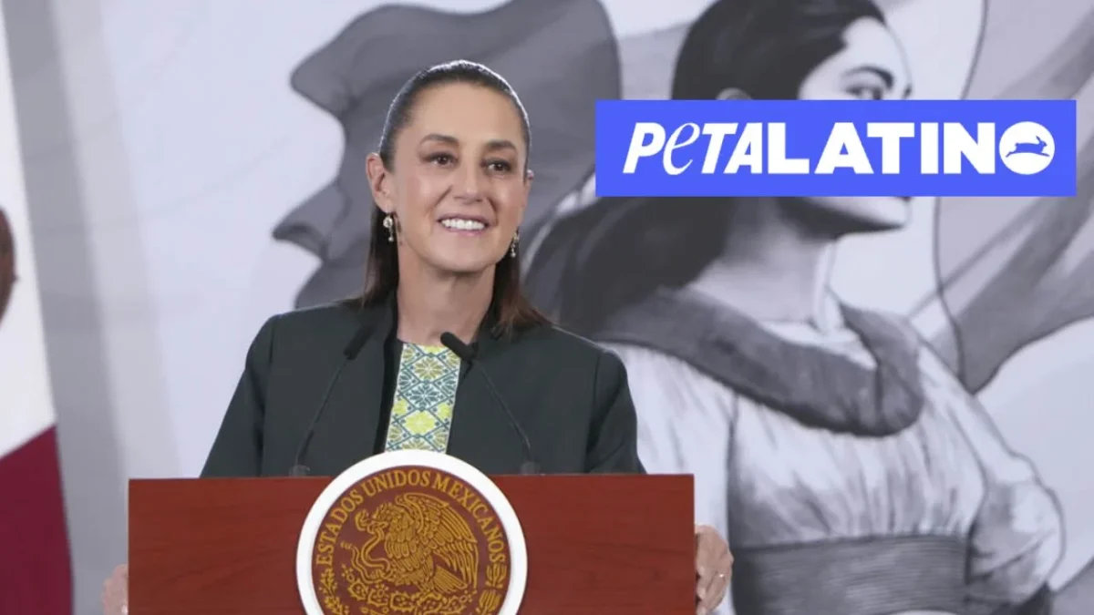 La organización destacó los 'avances extraordinarios para los animales' que ha logrado Claudia Sheinbaum en México; es el primer galardón que otorga.