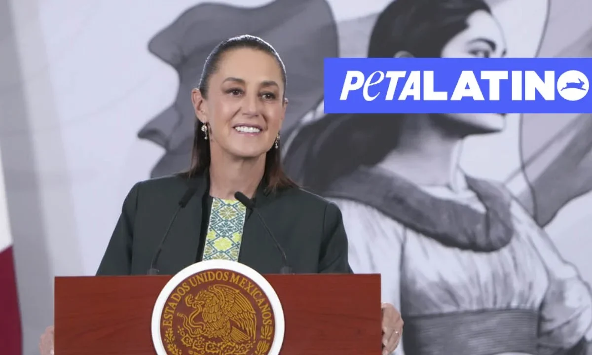 La organización destacó los 'avances extraordinarios para los animales' que ha logrado Claudia Sheinbaum en México; es el primer galardón que otorga.