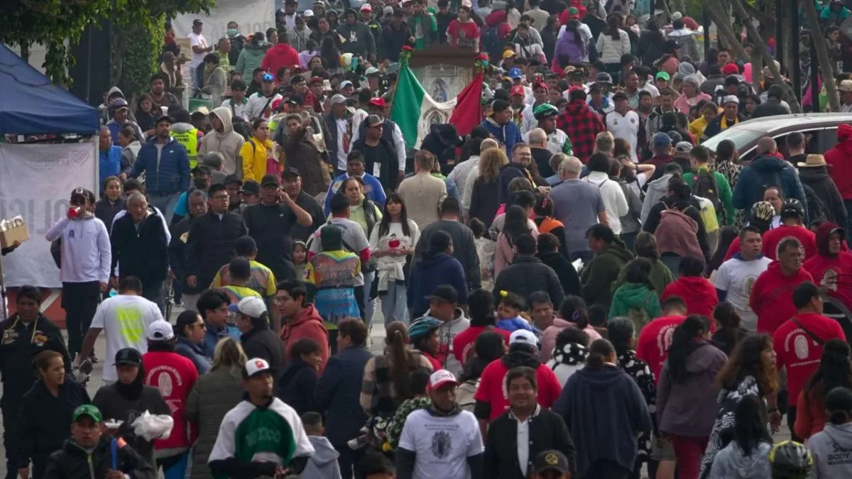 Traductores apoyarán llegada de peregrinos a la Basílica de Guadalupe.