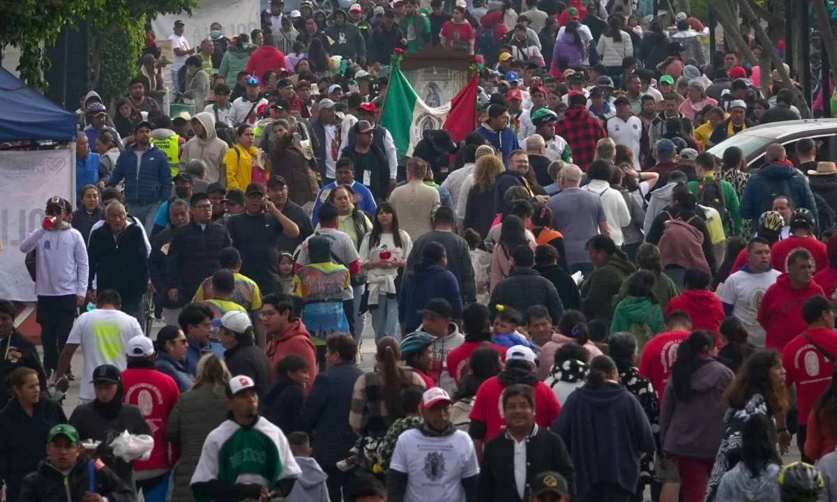 Traductores apoyarán llegada de peregrinos a la Basílica de Guadalupe.