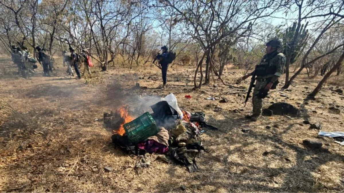 Elementos de la SSP y Defensa aseguraron 560 cartuchos útiles, cargadores, equipo táctico y tres vehículos y destruyeron campamento ilícito.