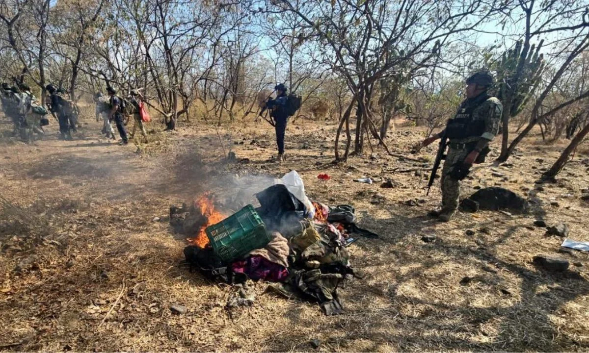 Elementos de la SSP y Defensa aseguraron 560 cartuchos útiles, cargadores, equipo táctico y tres vehículos y destruyeron campamento ilícito.