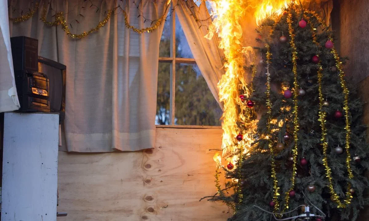 La SSa emitió recomendaciones para evitar accidentes en casa durante la temporada decembrina.