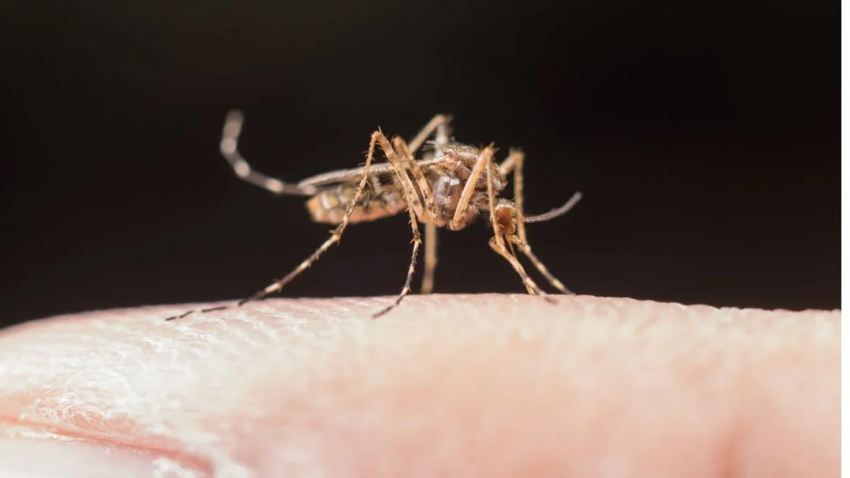 En Cuba, 12 personas fallecieron a causa del dengue, entre ellas siete menores de edad, y 21 por chikungunya, de las cuales 14 eran menores. 