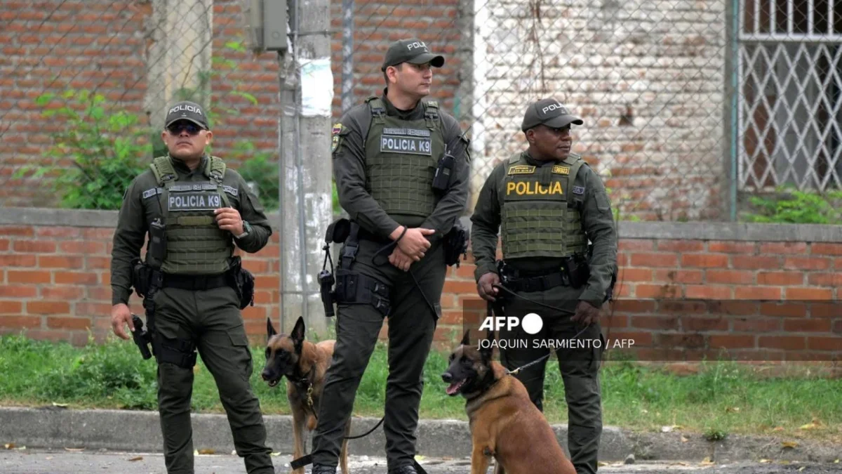 Guerrilla del ELN anuncia tregua navideña en Colombia