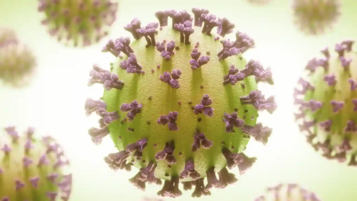influenza virus A H3N2 subclado K