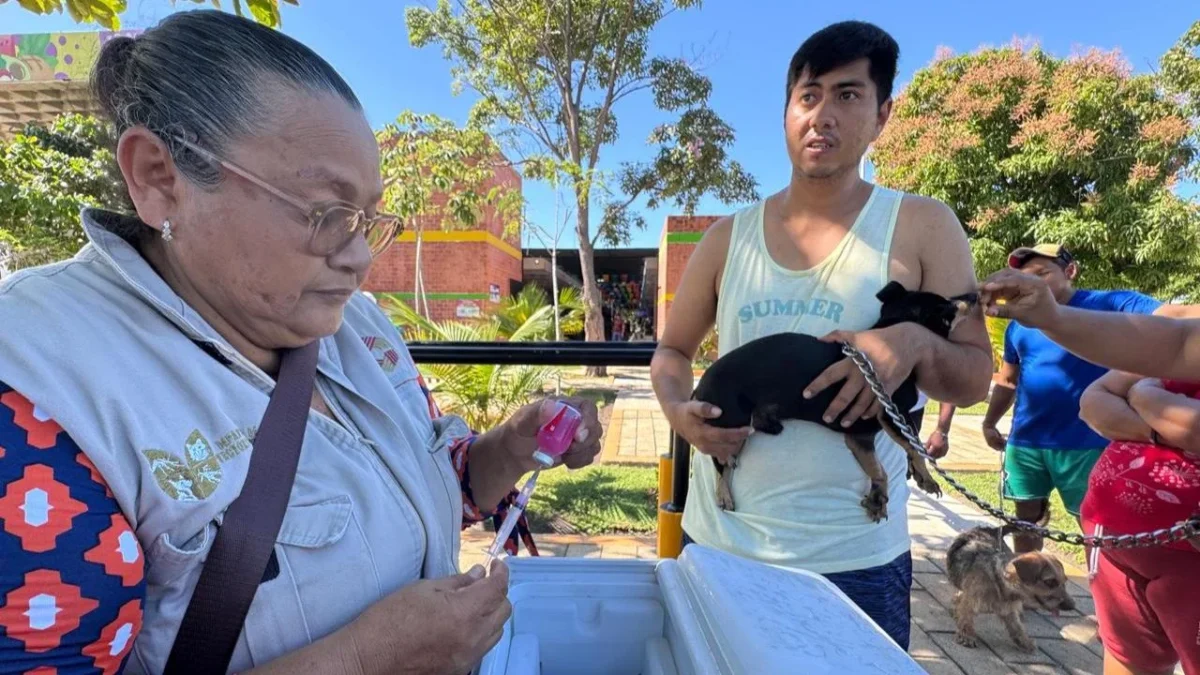 Intensifican vacunas contra la rabia en el municipio de Carmen, en Campeche.