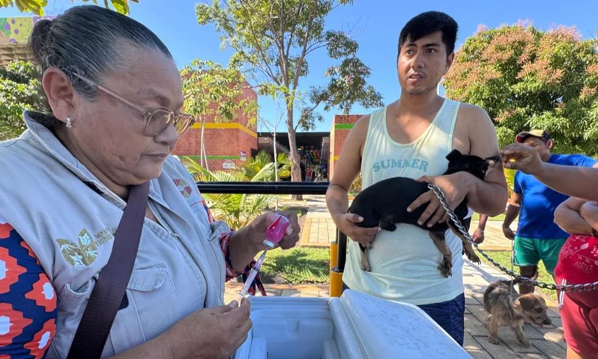 Intensifican vacunas contra la rabia en el municipio de Carmen, en Campeche.
